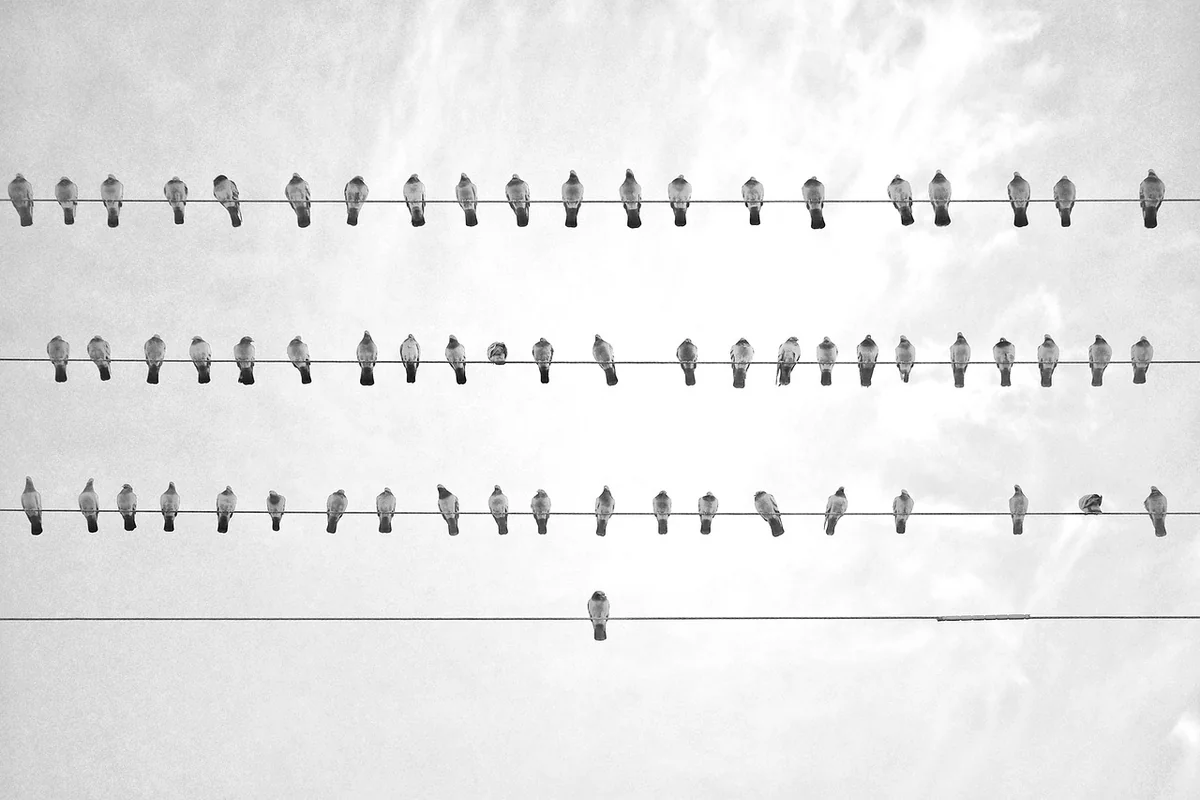Wie gestaltet man ein erfolgreiches Online-Business?
